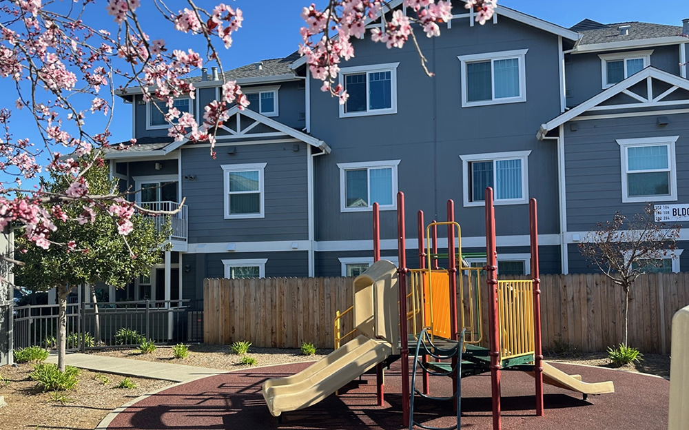 Newsletter – September 25, 2025